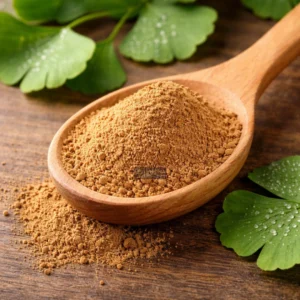 Ginkgo biloba powder on rustic spoon