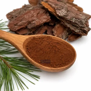 Pinebark Powder in a wooden spoon