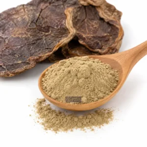 Placenta powder in a wooden spoon