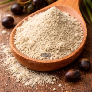 Saw palmetto powder and berries close-up