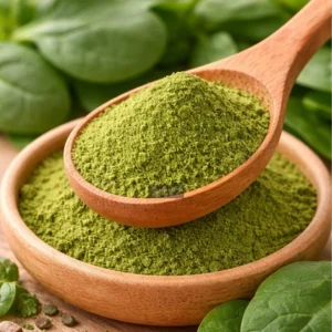 Spinach powder in wooden spoon